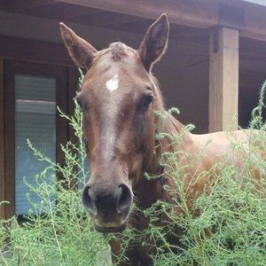 Meet your Posher, Denise